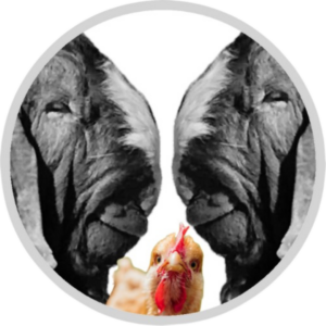 Boerbok Boer Logo Footer R2