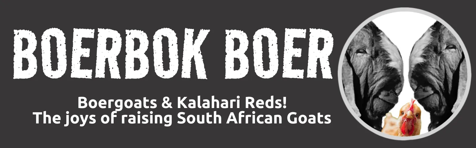 Boerbok Boer Header